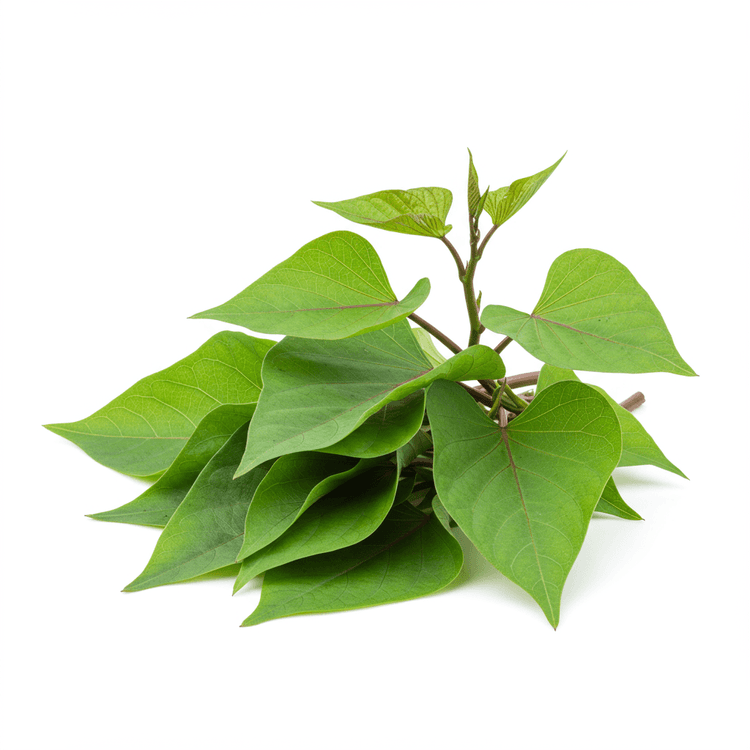 sweet potato leaves
