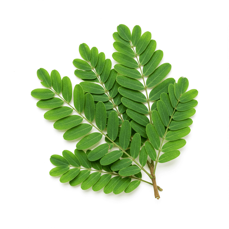 tamarind leaves