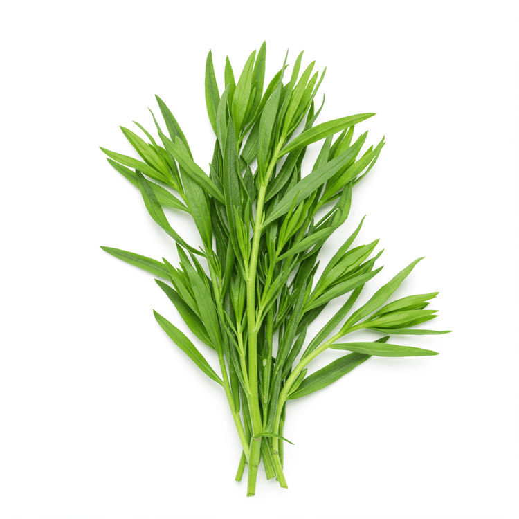 tarragon