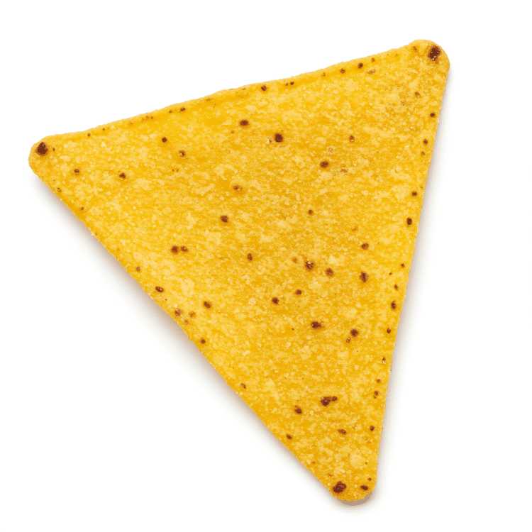 tortilla chip