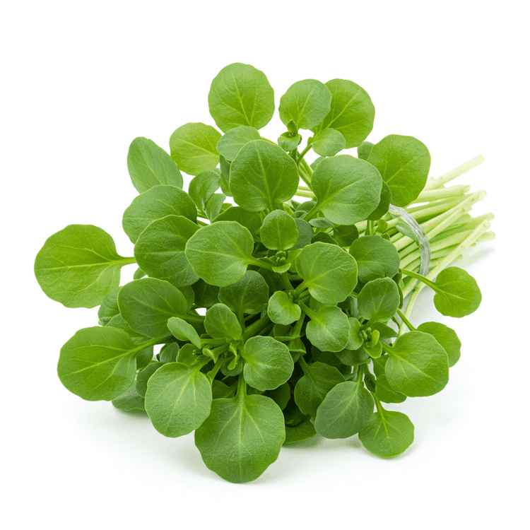 watercress