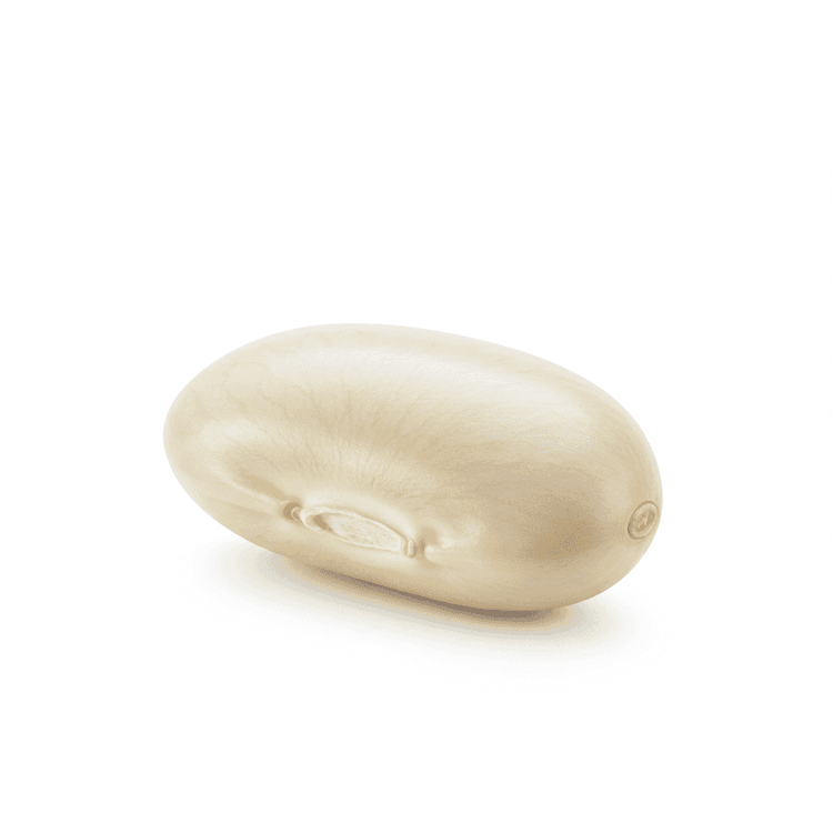 white bean
