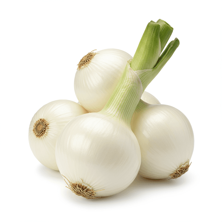 white onion