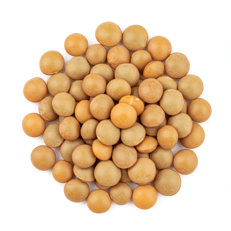 whole lentil