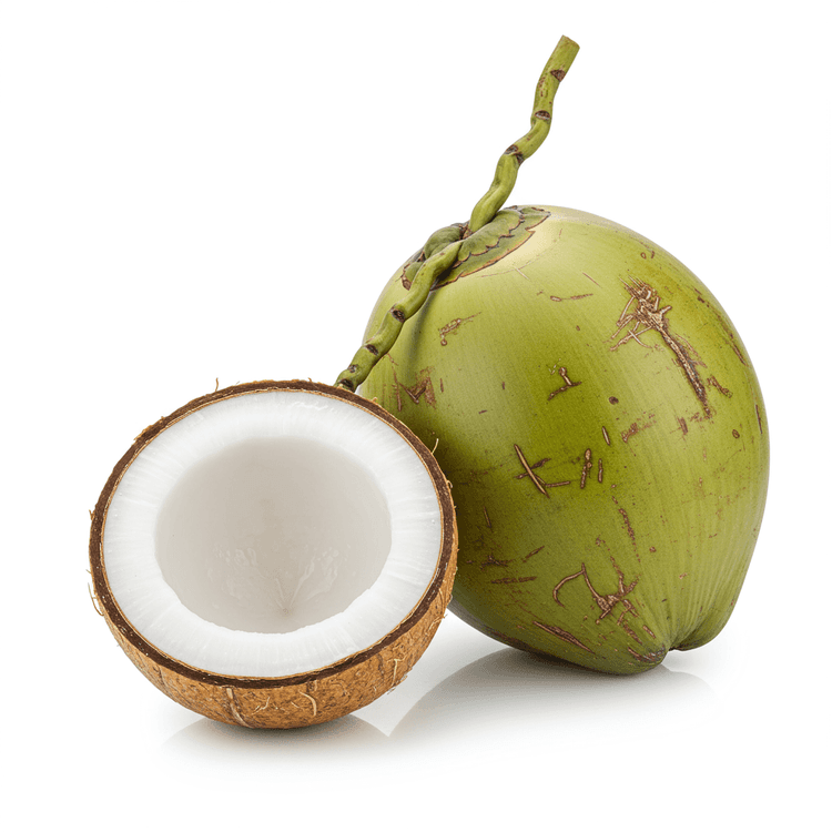 Young Coconut