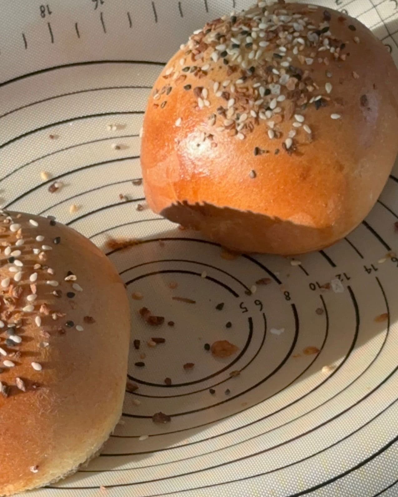 Sourdough Discard Buns recipe