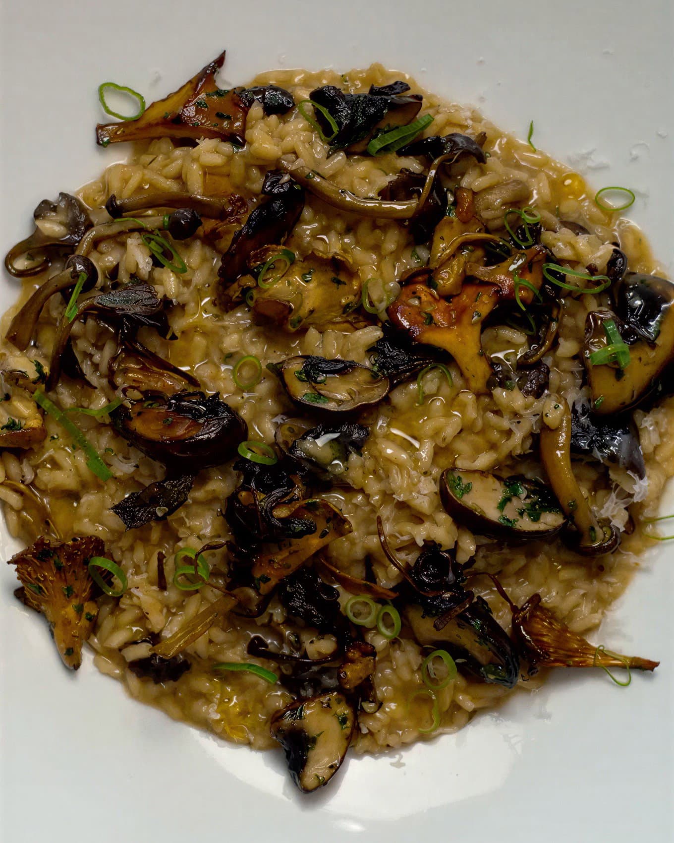 Mushroom Risotto recipe
