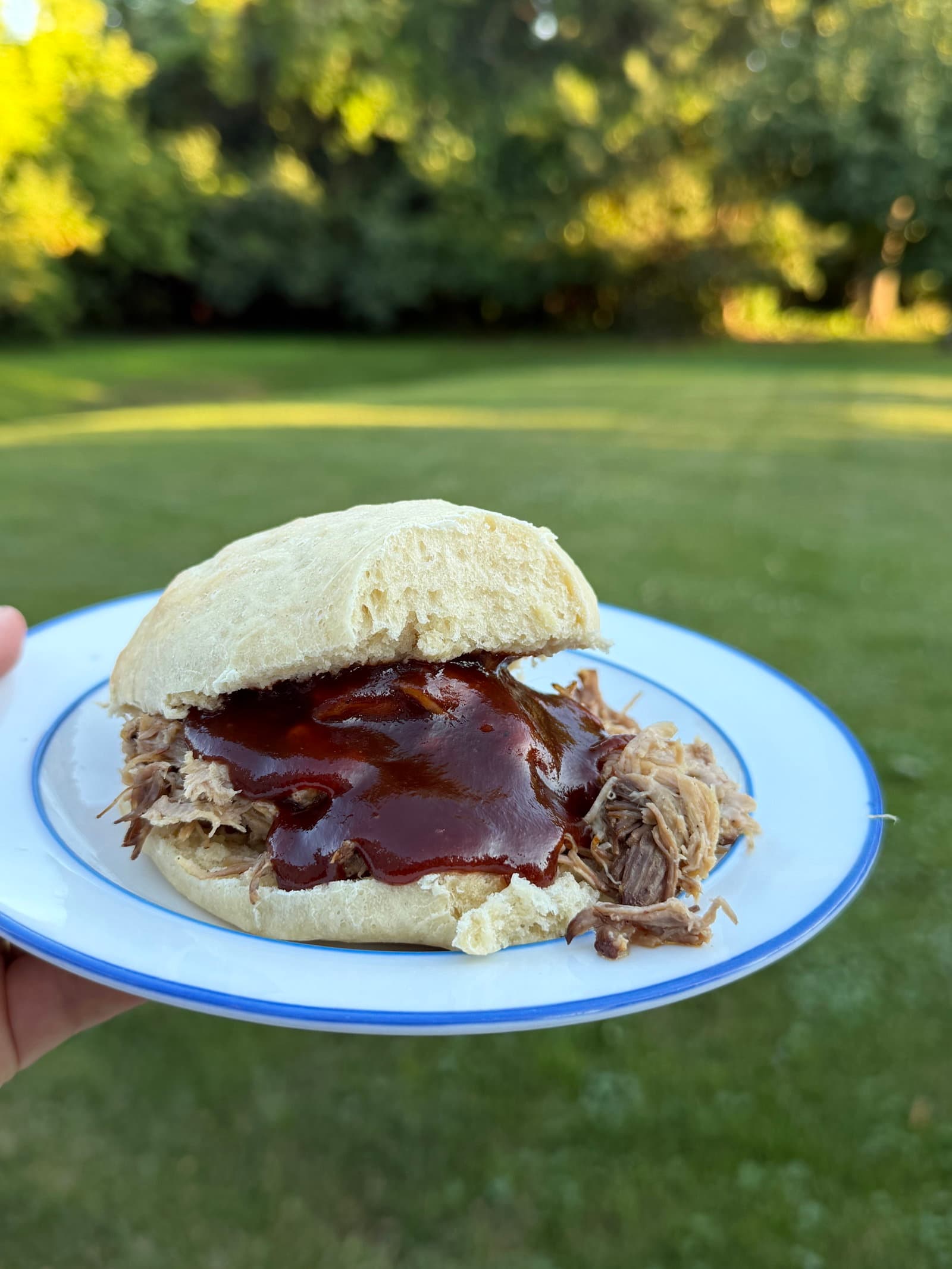Easy Slow-Cooked Pulled Pork with Dry Rub recipe