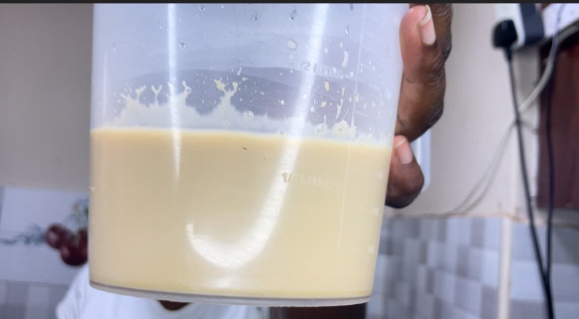 Suutei Tsai (Traditional Mongolian Goat Milk Tea) recipe