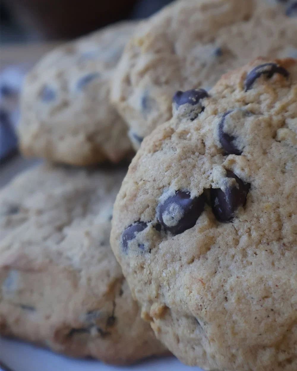 Spiced Pumpkin Chocolate Chip Cookies recipe