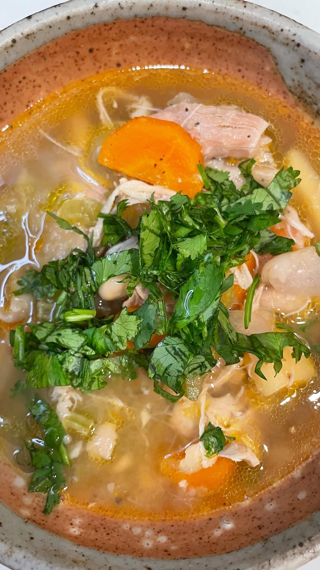 Ginger Lemon Chicken and Bean Soup recipe