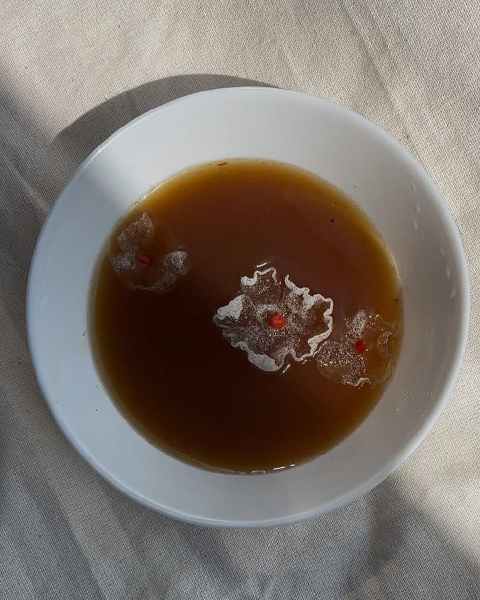 Ginger Scallion Broth recipe