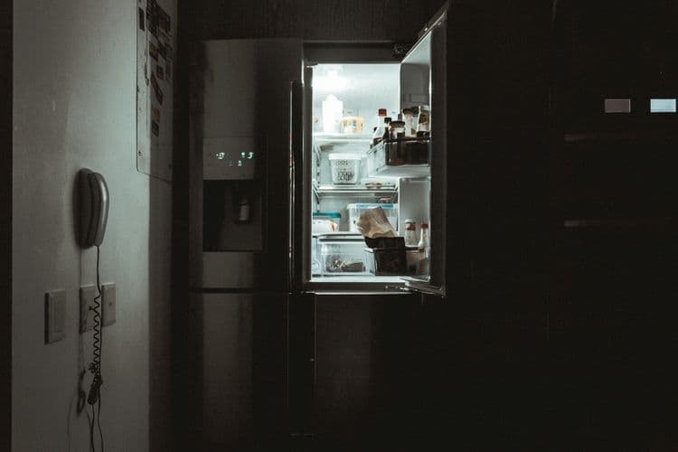 The design of modern refrigeration systems was partly inspired by how penguins' feathers trap cold air, keeping them insulated in freezing temperatures.