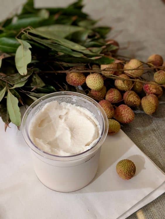Ninja Creami Lychee Coconut Sorbet recipe