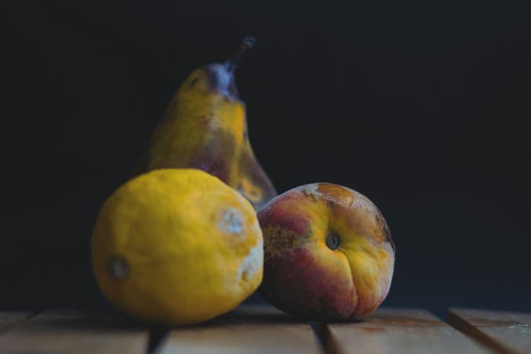 Several fruits rotting away