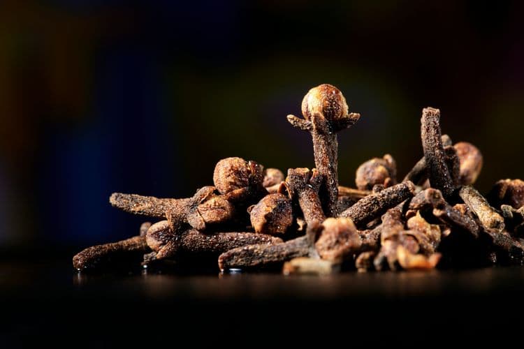 Several clove buds placed together