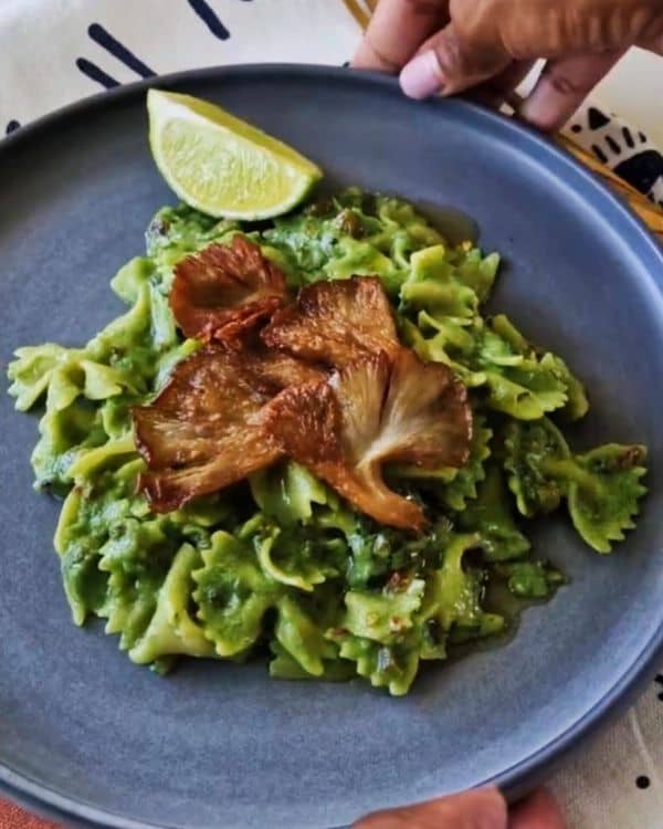 Farfalle Pasta in Green Sauce with Pan-Fried Oyster Mushrooms recipe
