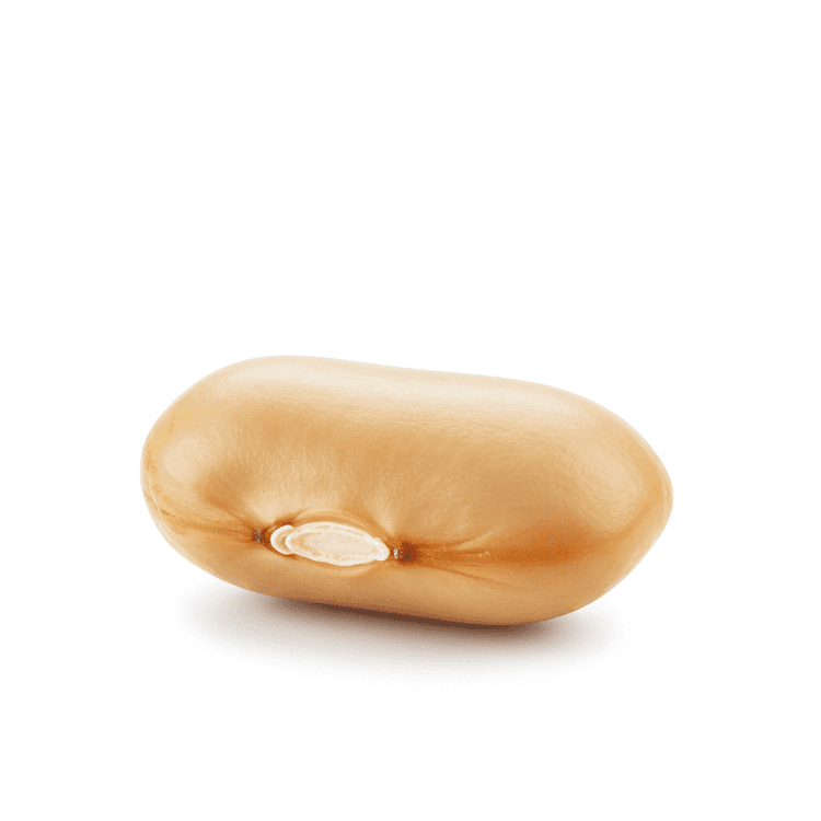 bean
