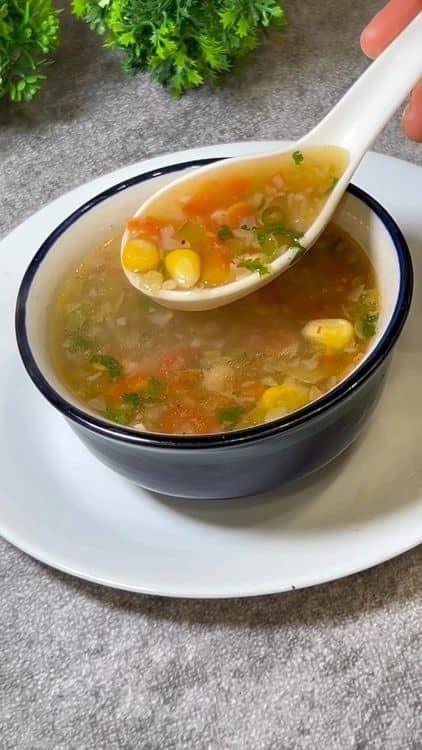 Vegetable Soup Recipe recipe