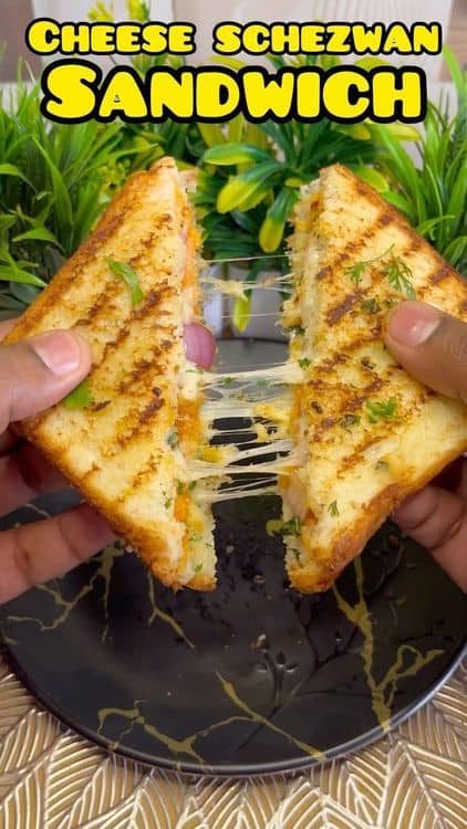 Street-style Cheese Schezwan Sandwich recipe