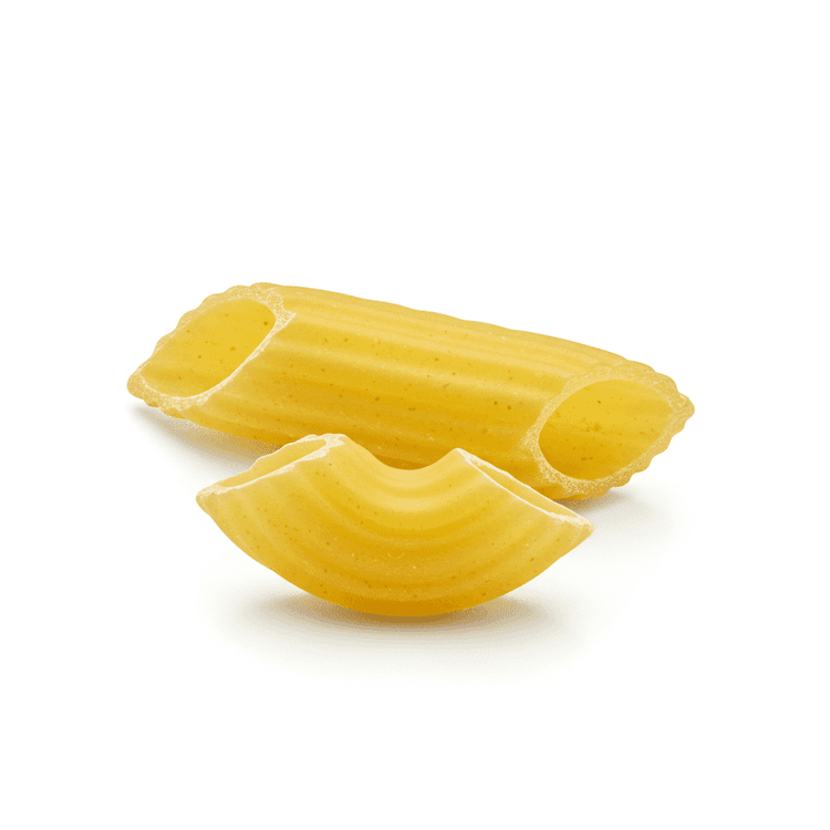 Shell Pasta Recipes & Health Benefits | Easy Cooking Tips | Chefadora