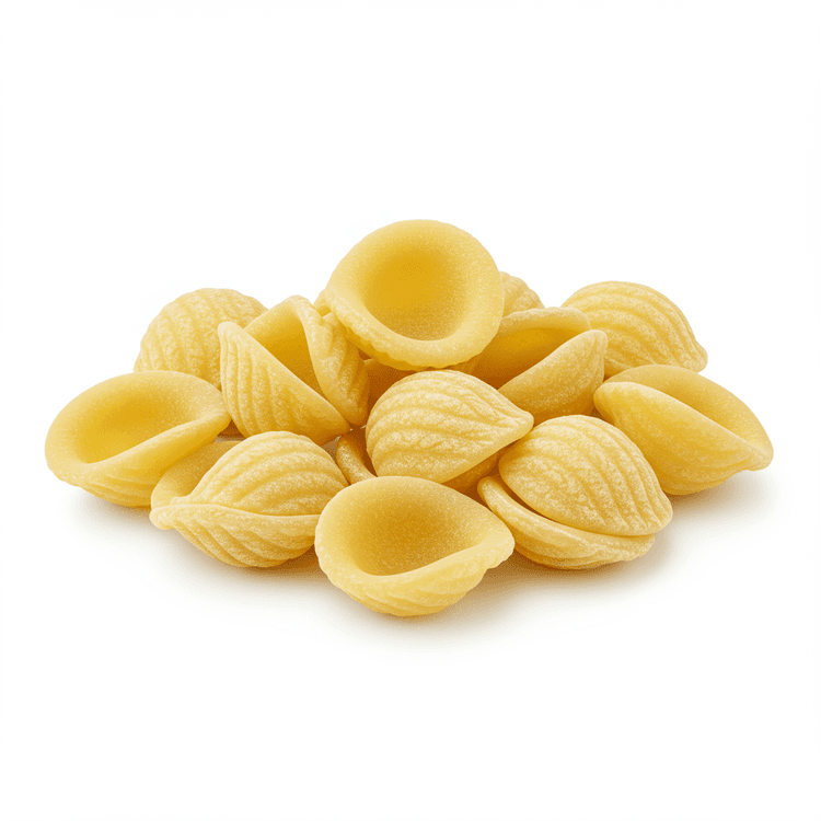 Orechie Shell Pasta Shell Pasta Recipes & Health Benefits | Easy Cooking Tips | Chefadora